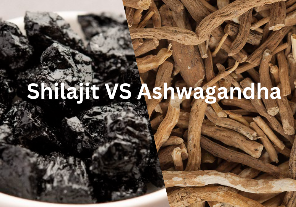 Ashwagandha VS Shilajit