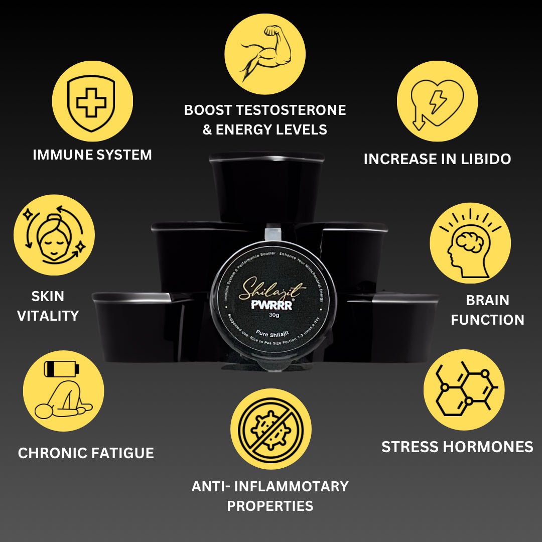Premium Organic Altai Shilajit - Resin (30G) - PWRRR